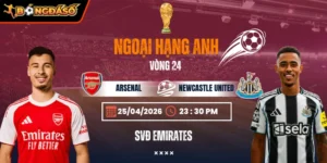 arsenal-vs-newcastle-united-bds-25-4