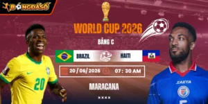 brazil-vs-haiti-bds-20-6